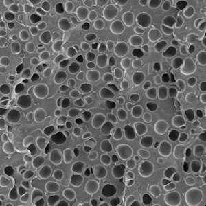 Microcellular Foam – the next step from cellular